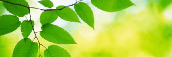 env-policy